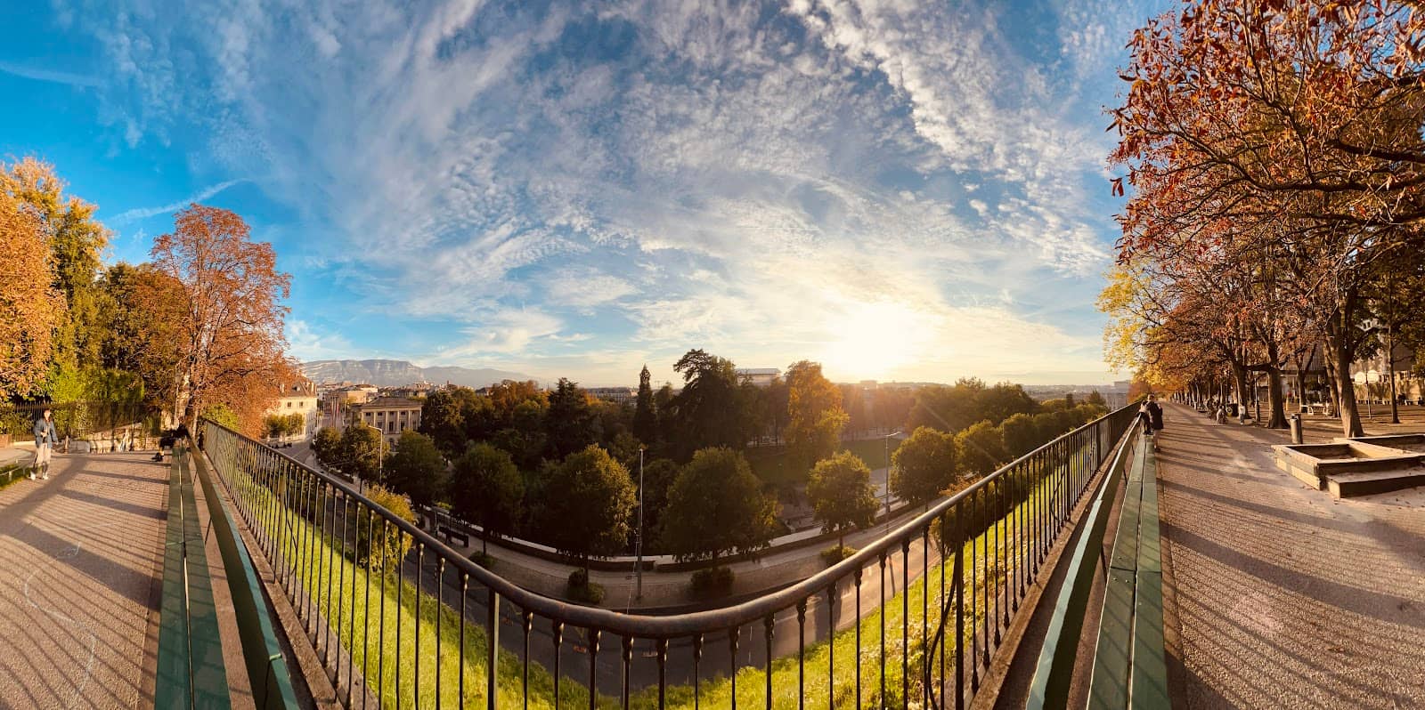 Treille Vine-Covered Pergola