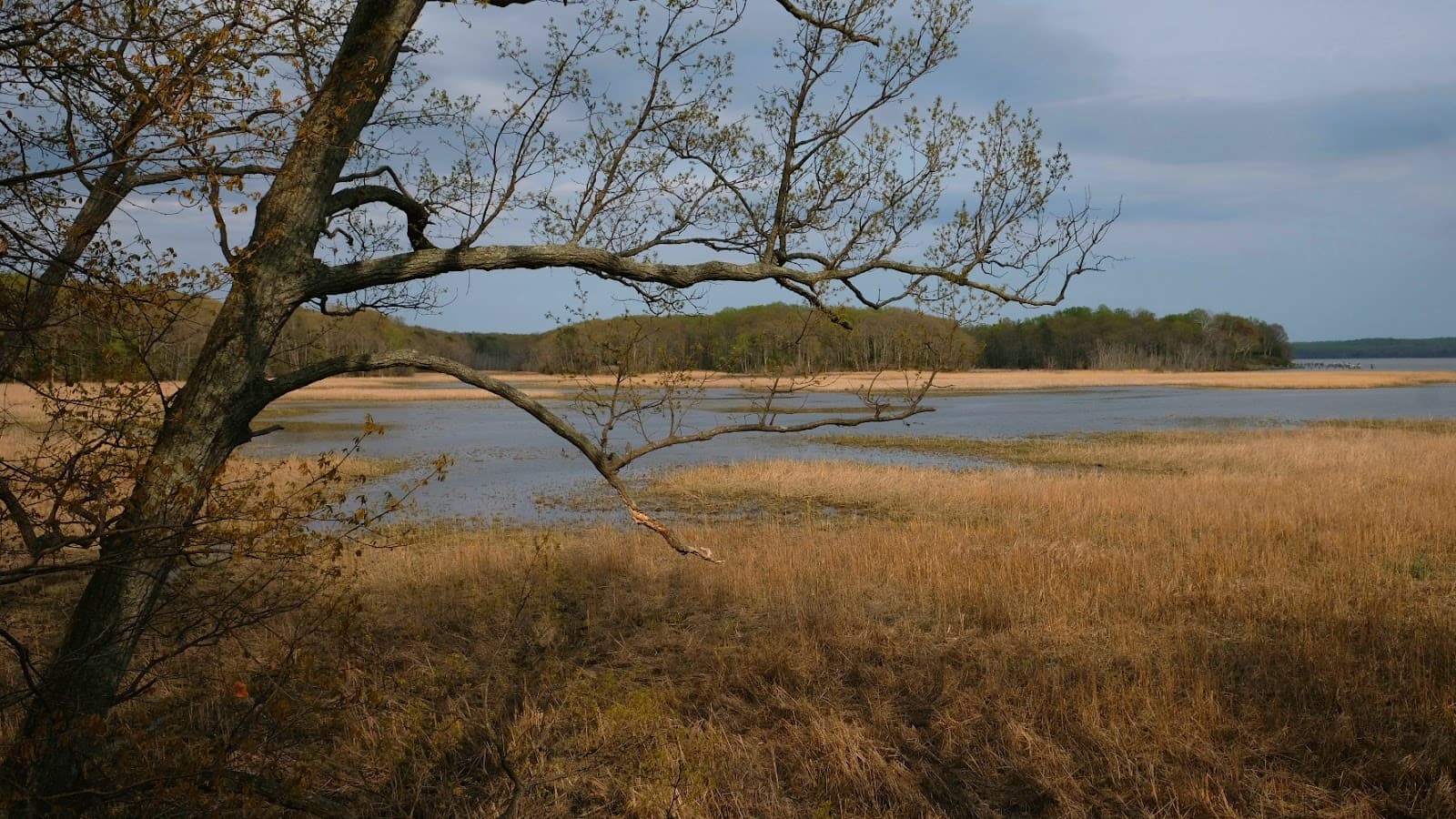 Mason Neck National Wildlife Refuge - Image 1
