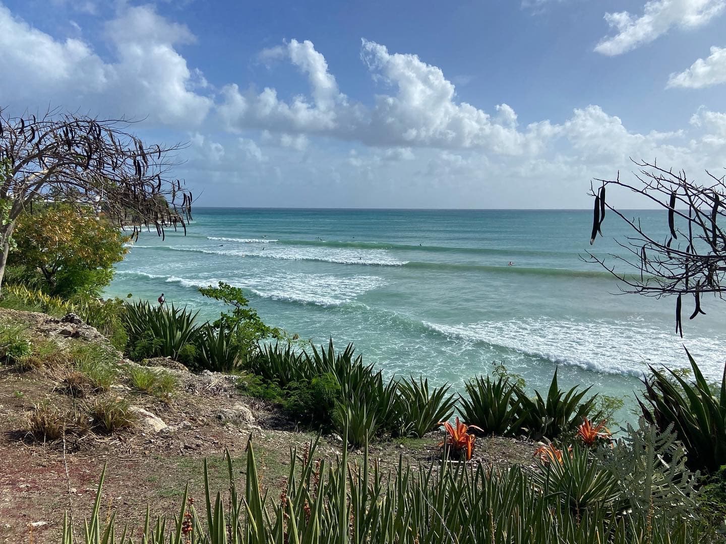 Freights Bay - Image 1