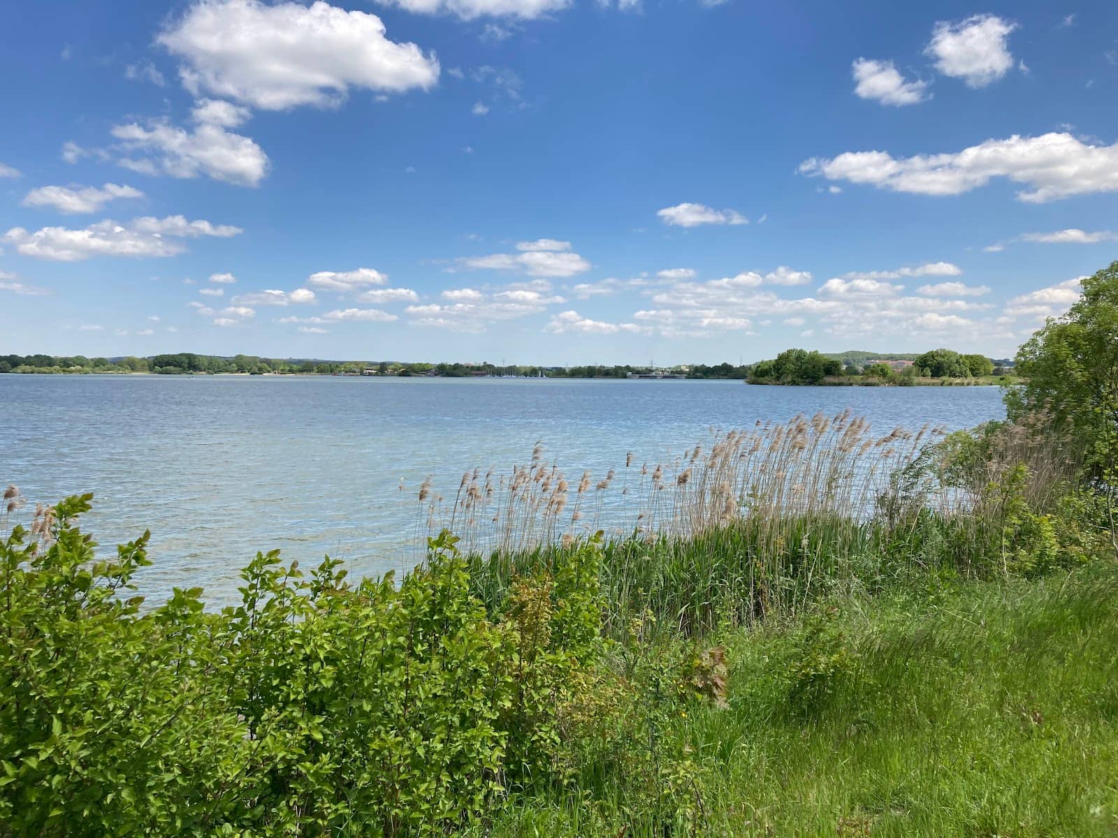 Bird Sanctuary