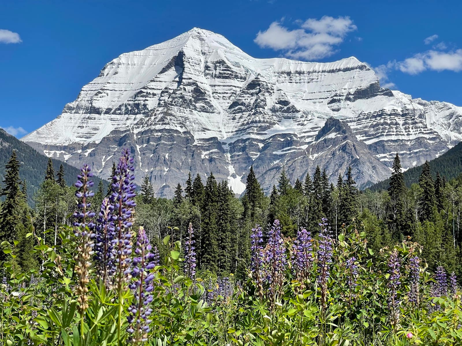 Mount Robson Provincial Park - Image 1
