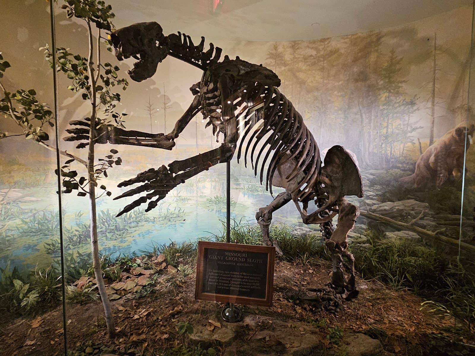 Ancient Ozarks Natural History Museum - Image 1