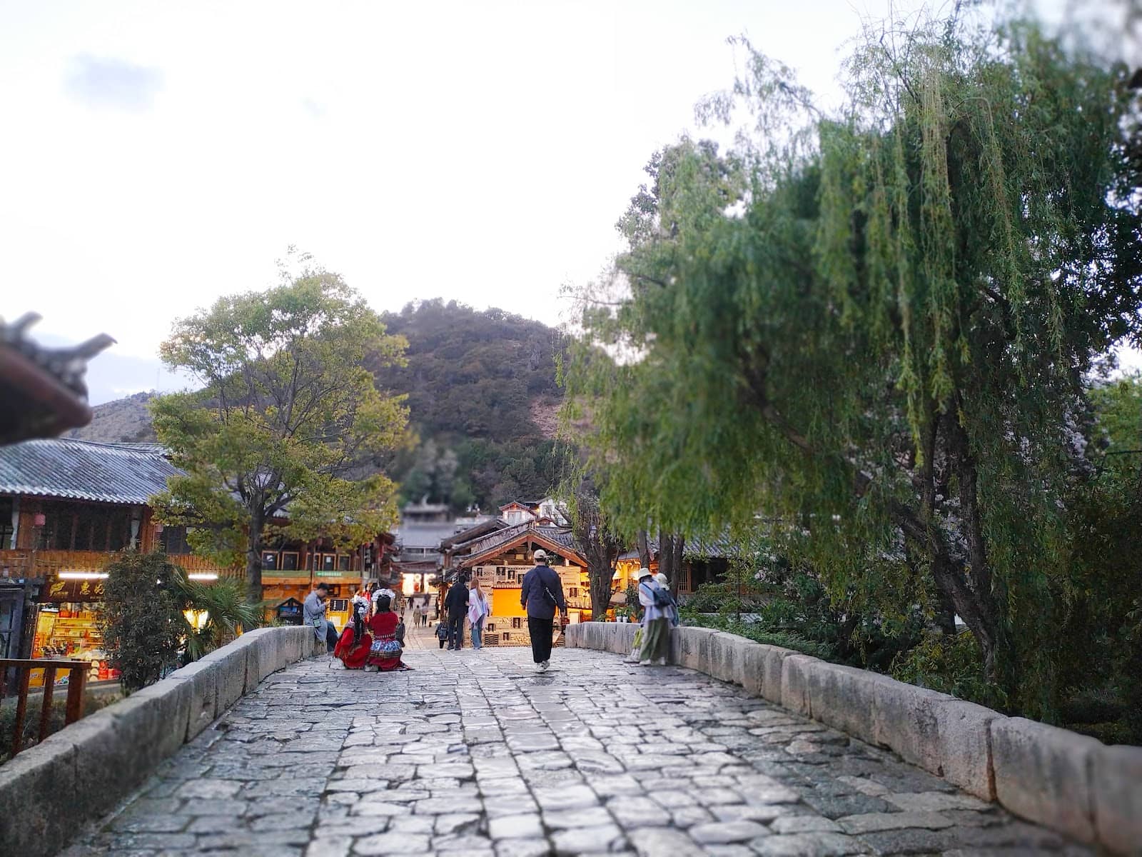 Unique Bridge Climb Adventure
