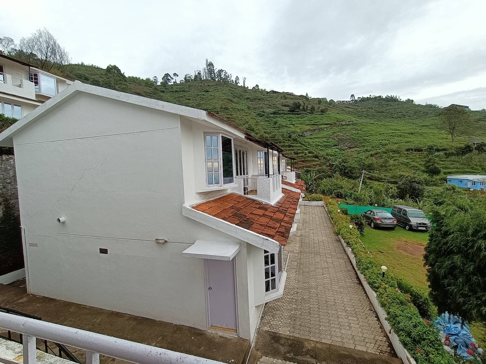 Tranquil Forest Setting