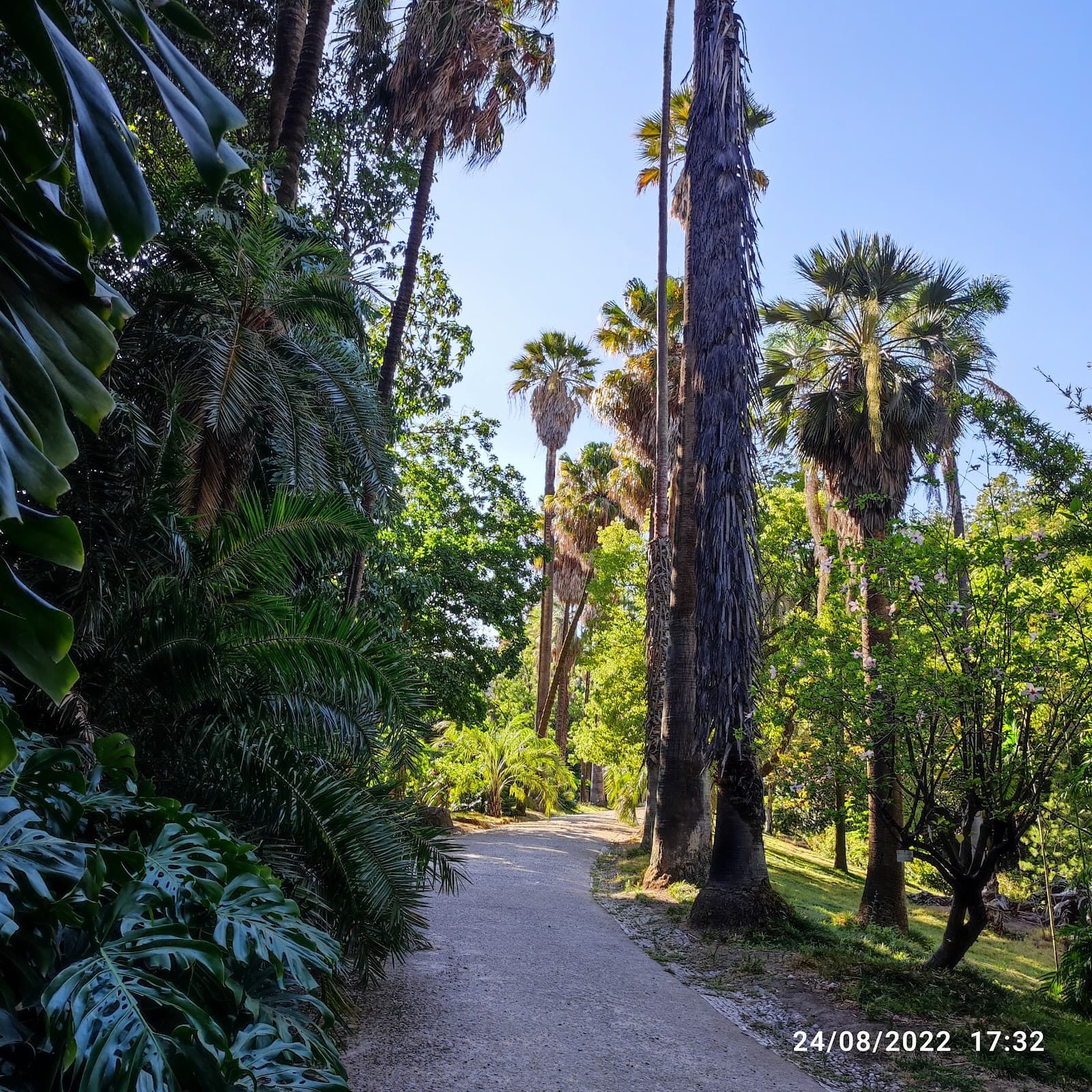 Jardim Botânico de Lisboa Lisbon - Image 1