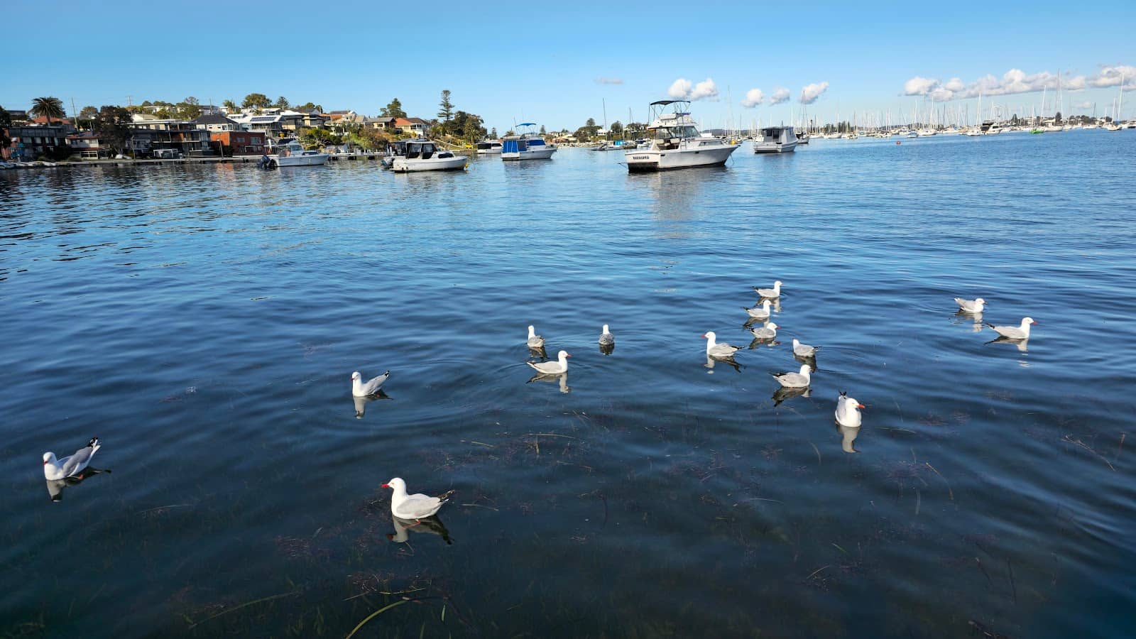 Wheelchair Accessible Ramp