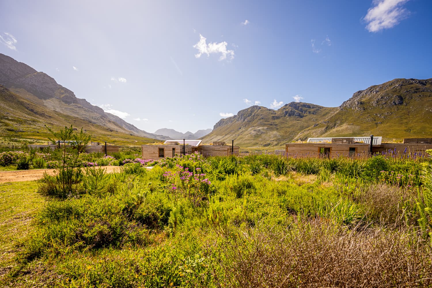 Palmiet River Trail South Africa - Image 1