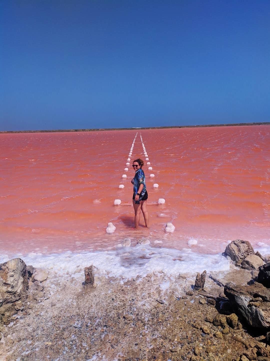 Pink Sea Galerazamba - Image 1