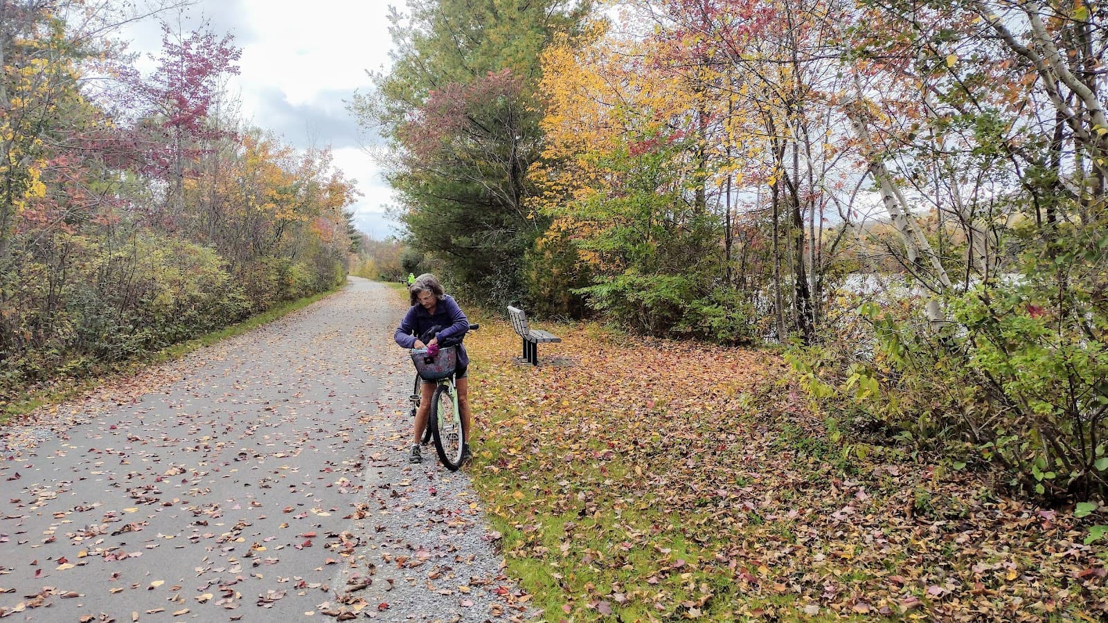Ashuwillticook Rail Trail - Image 1