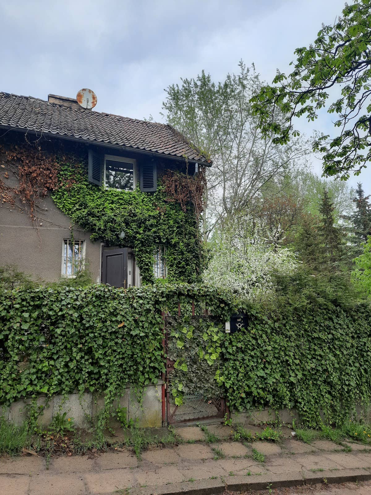 Vertical photo
