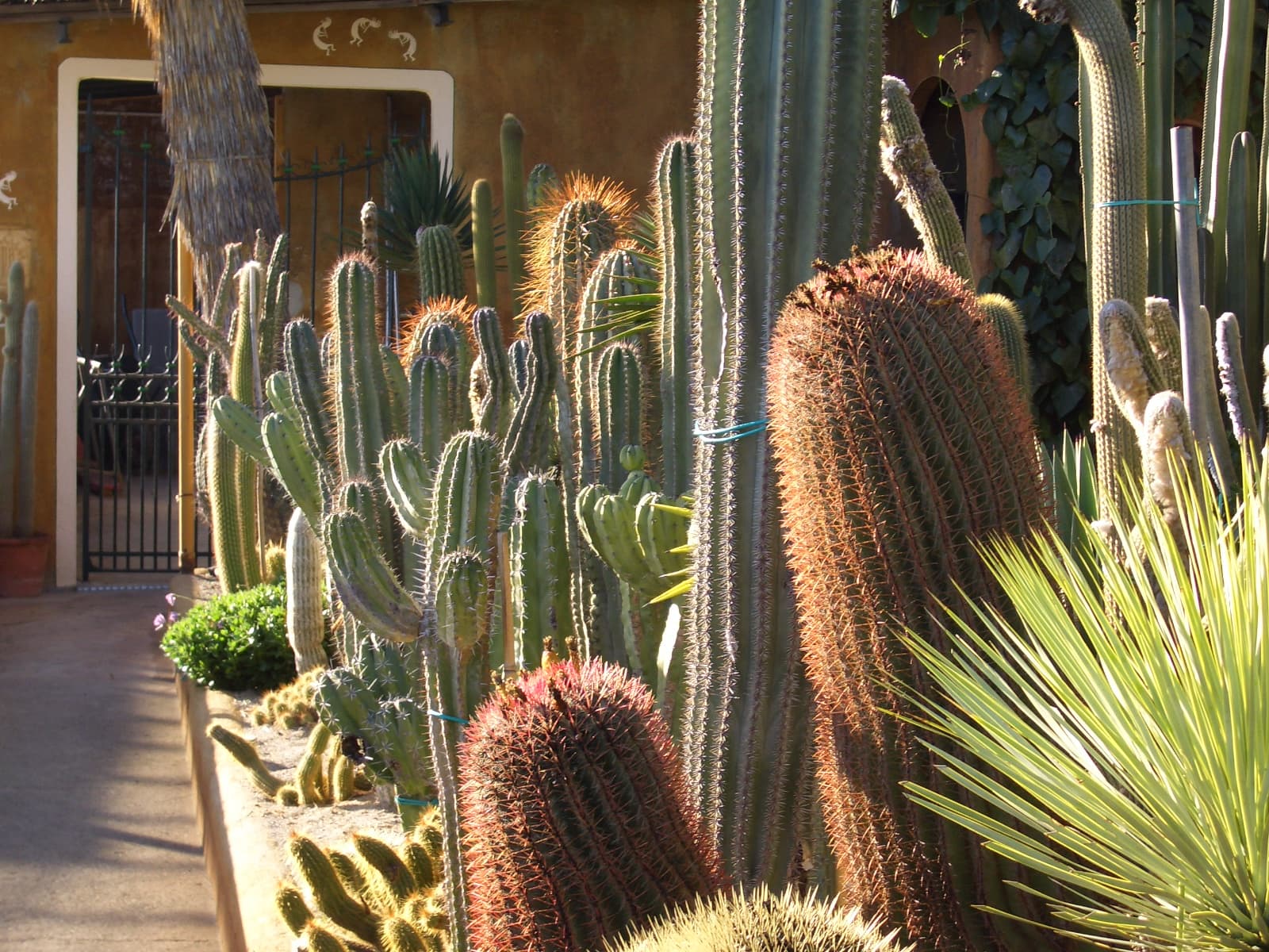 Bordighera (day trip) - Image 1