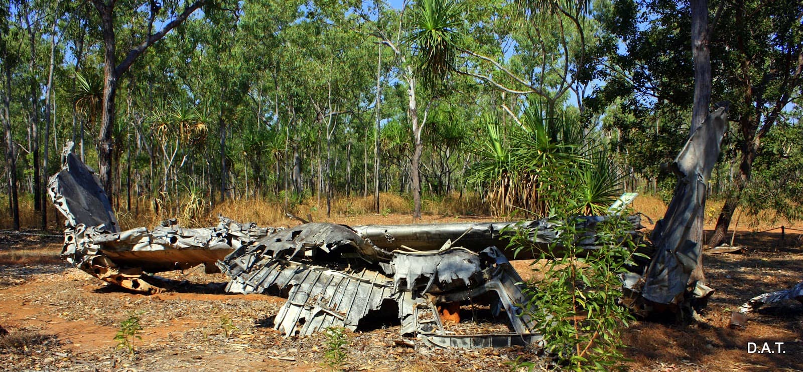 Hermit Crab Encounters