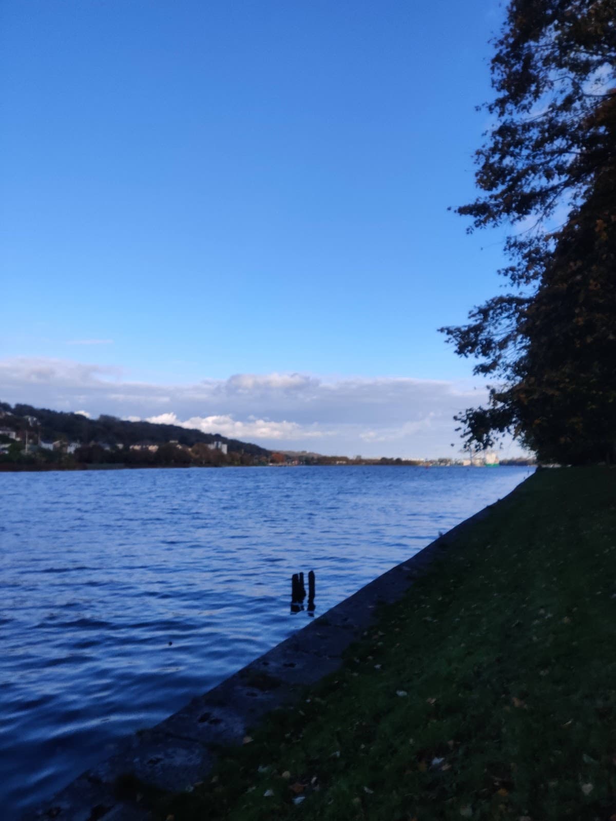 The Marina - Image 1