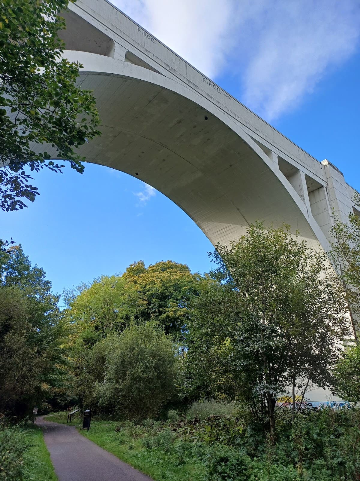 Monkstown Wood - Image 1