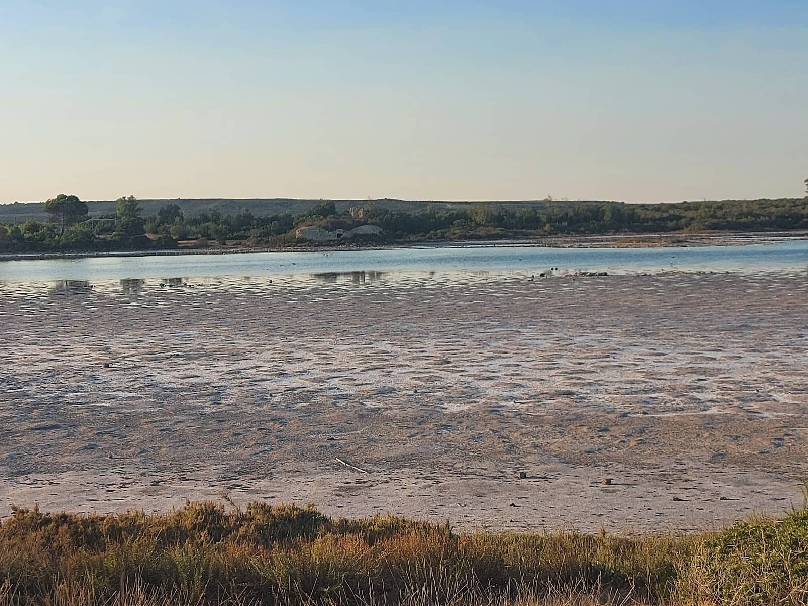 Nature Reserve Walks