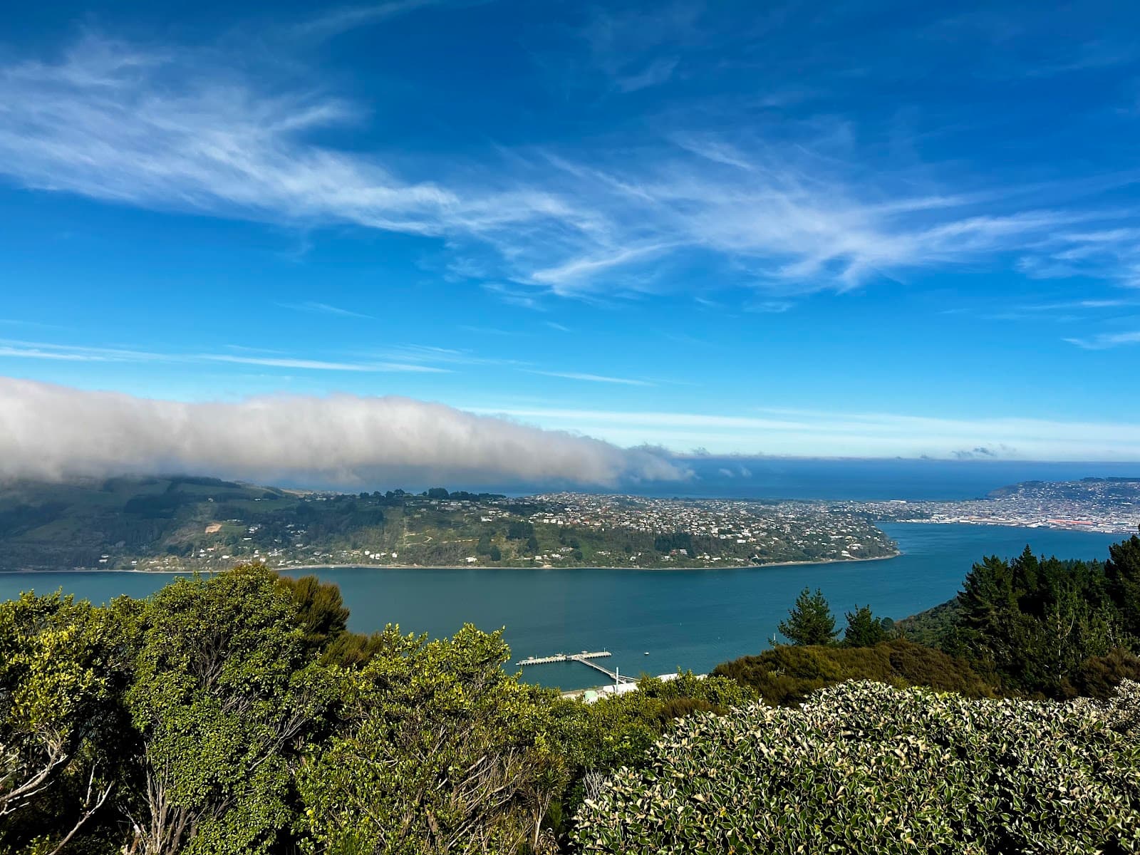 Signal Hill Lookout - Image 1