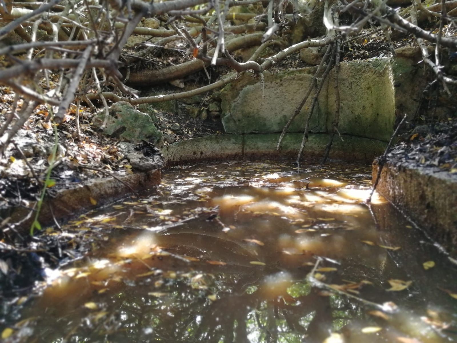 Cuccuru Is Arrius Site - Image 1