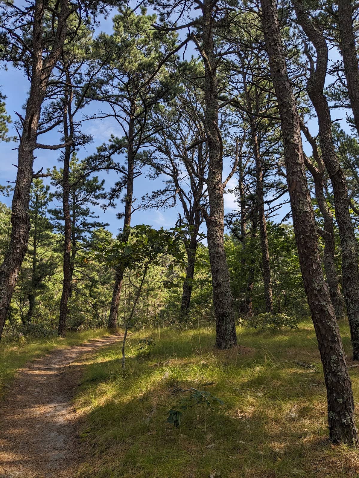 Tidal Flats Exploration