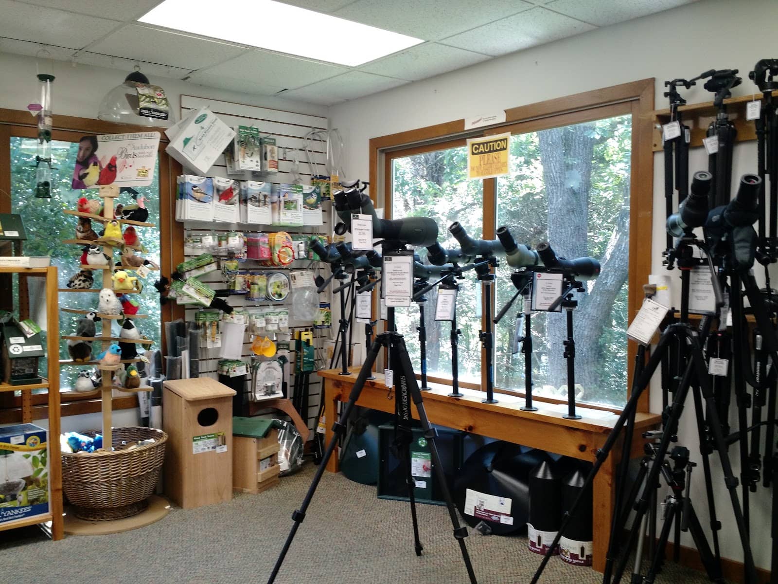 Ornithologist's Dream Shop