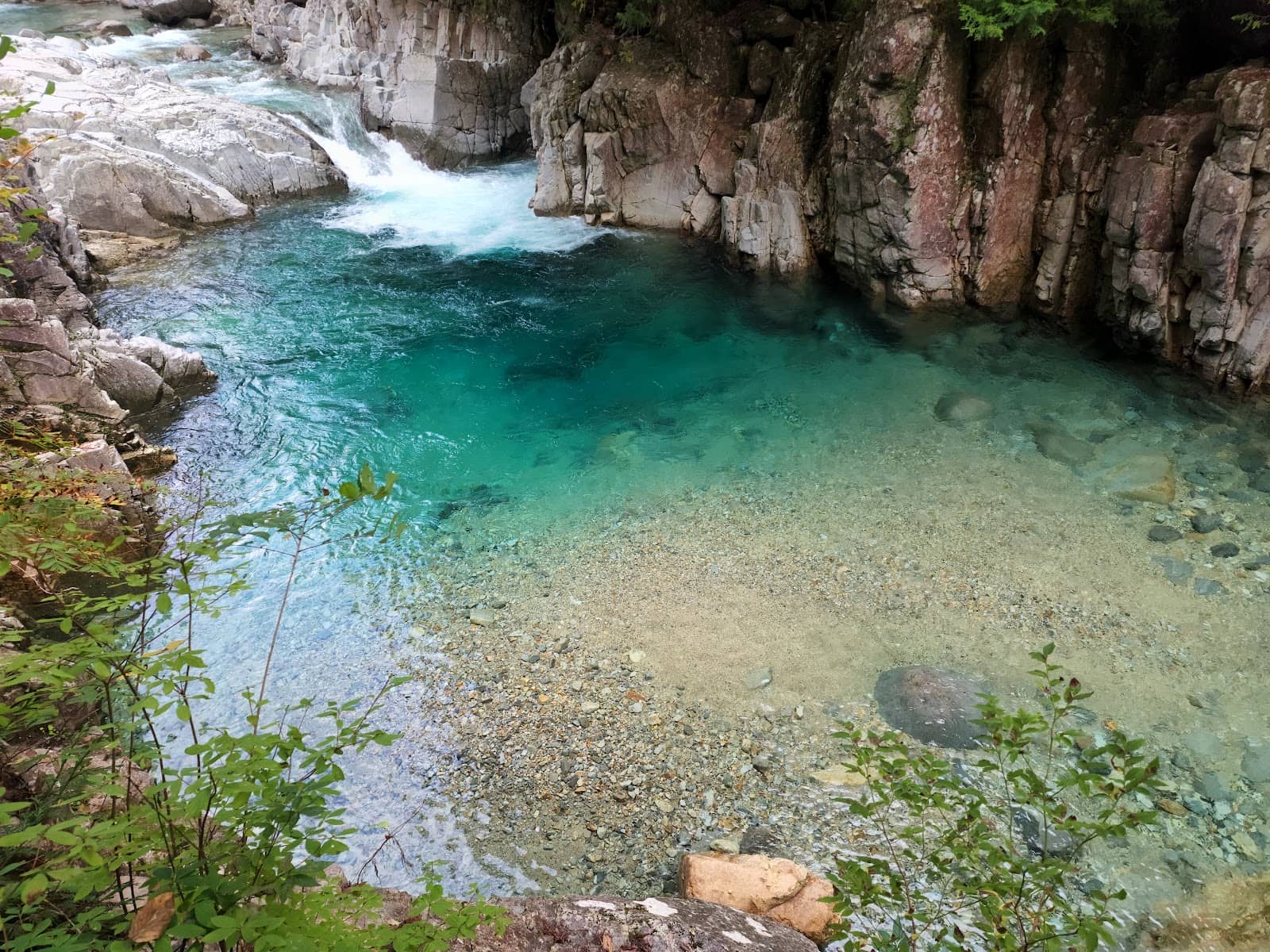 Lush Greenery and Forest