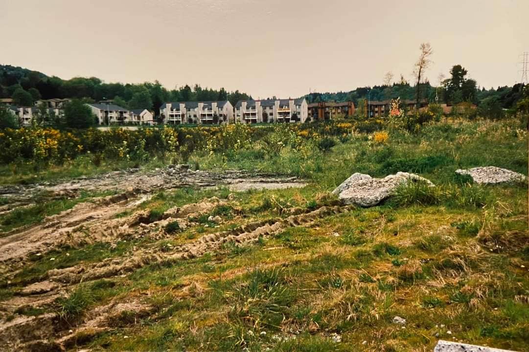 Simply Indian's Authentic Flavors