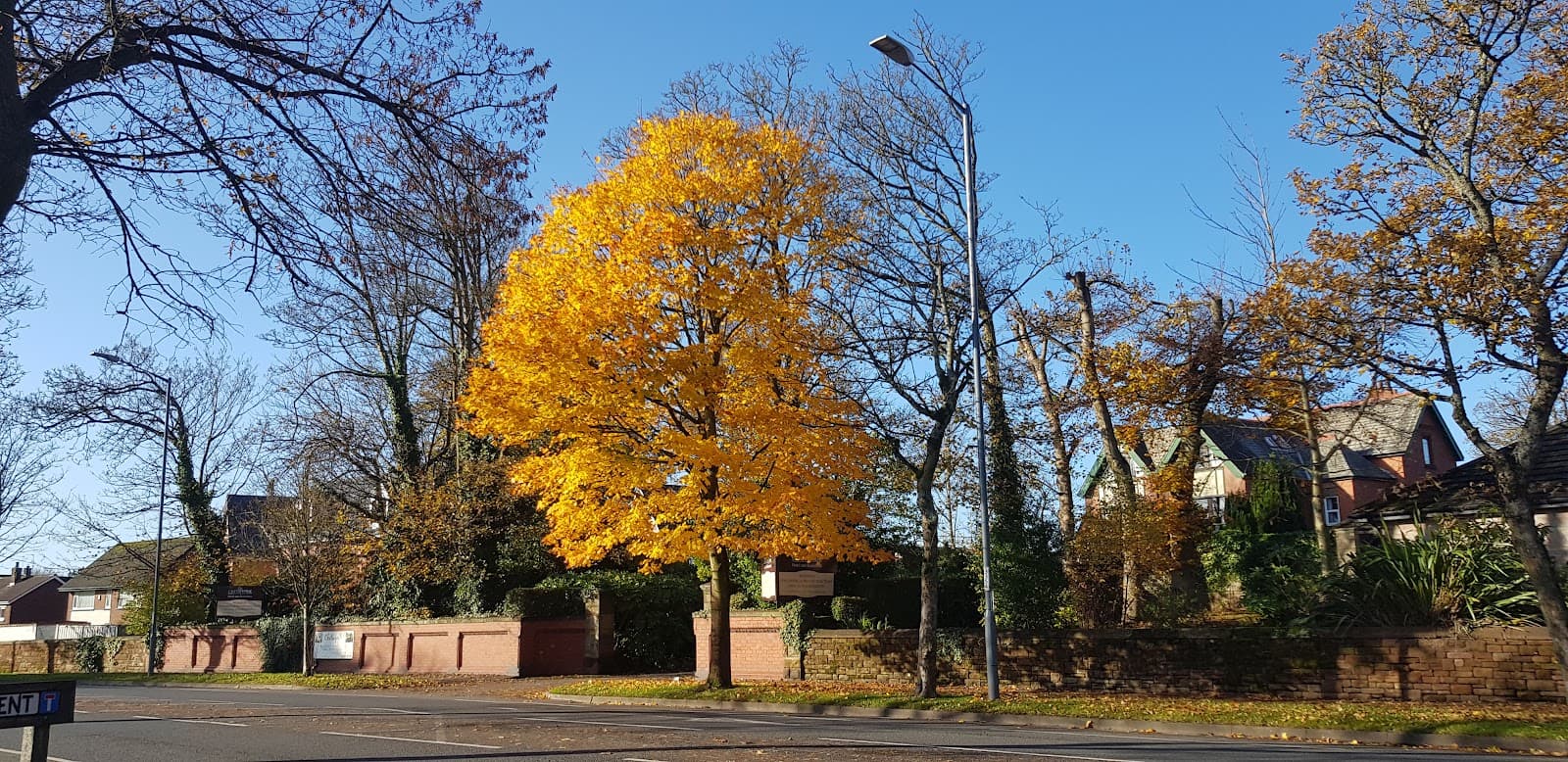 Abbey Road (boulevard) - Image 1