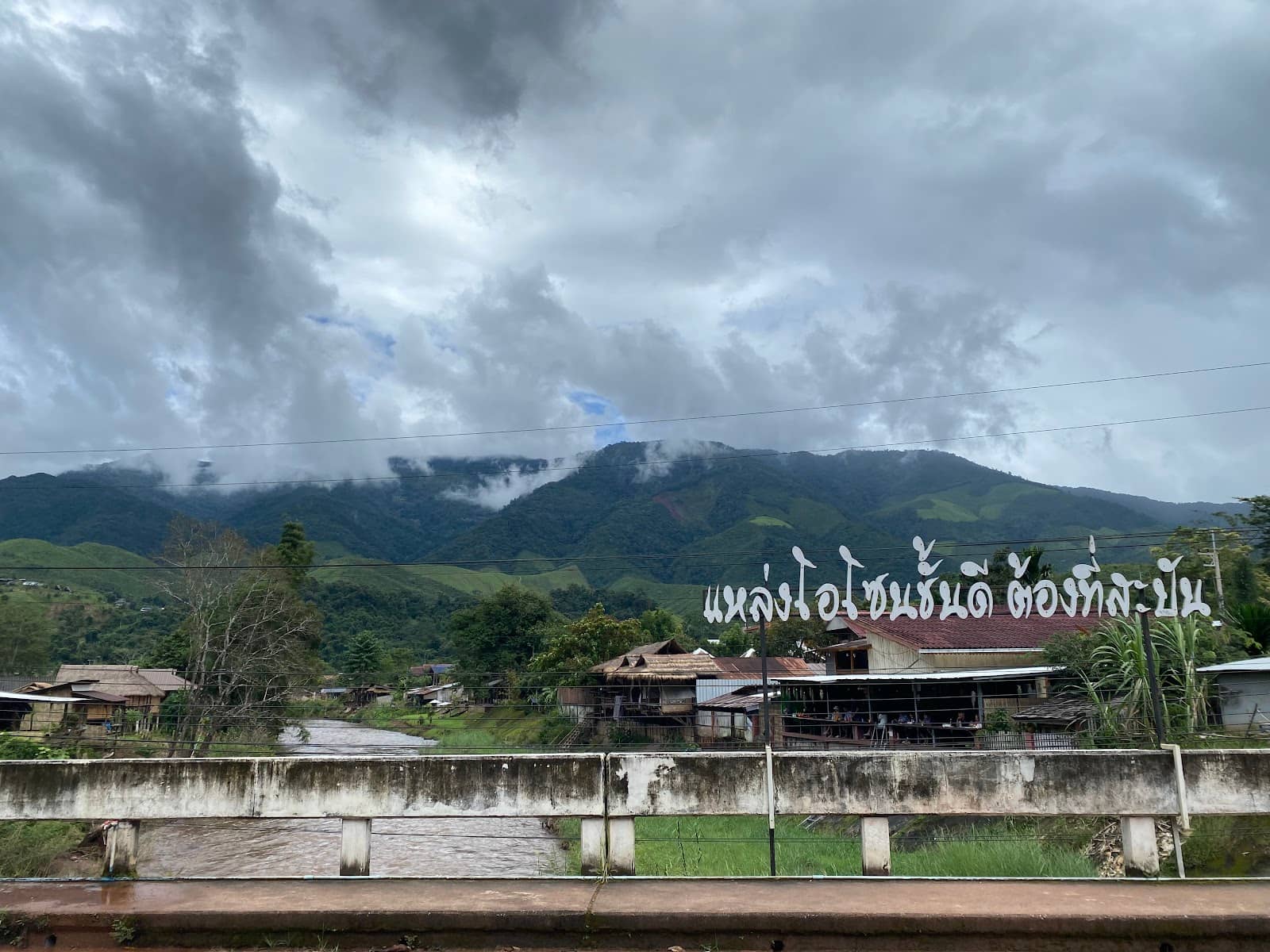 Local Cafes and Homestays