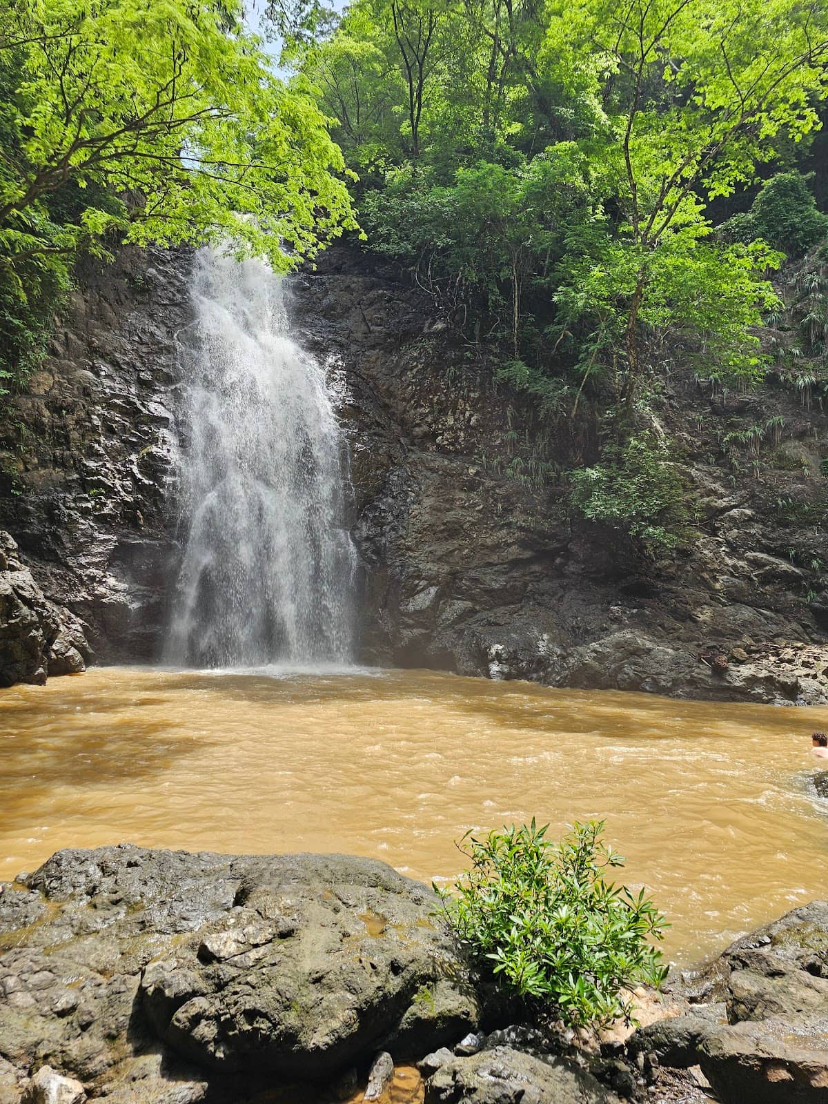 Jungle Trek Adventure