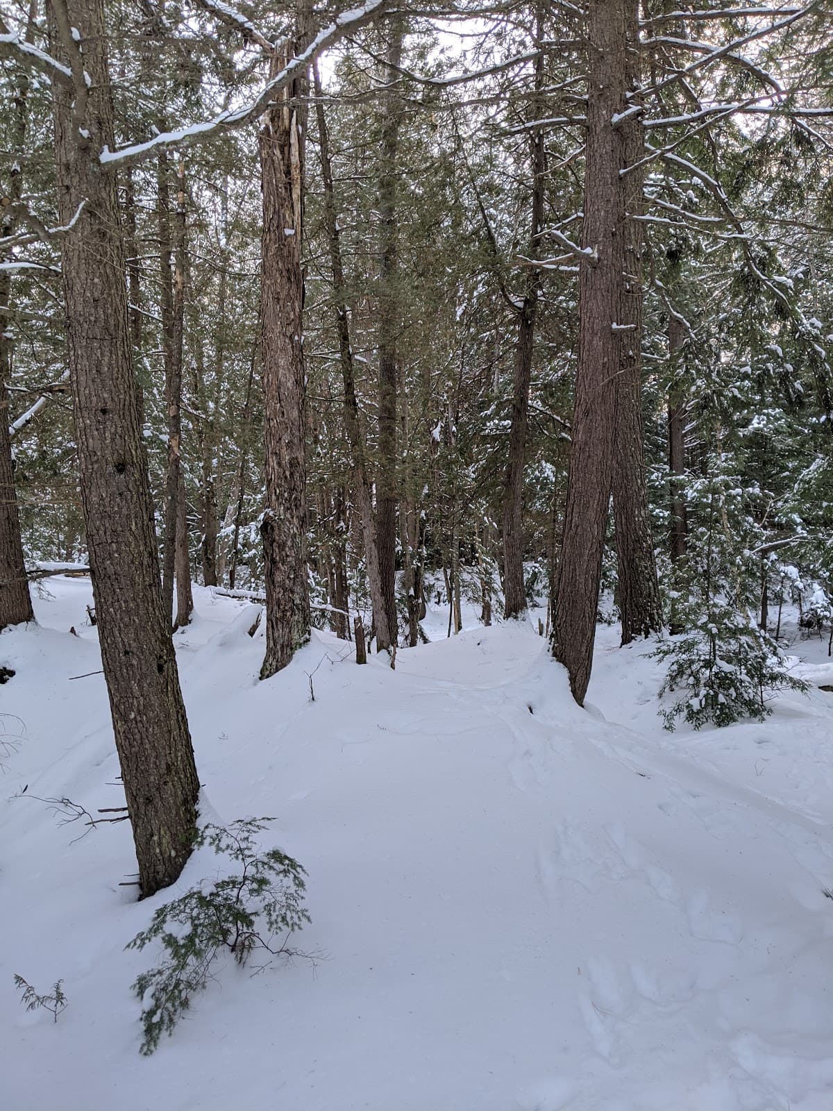 Wilson's Falls - Image 1