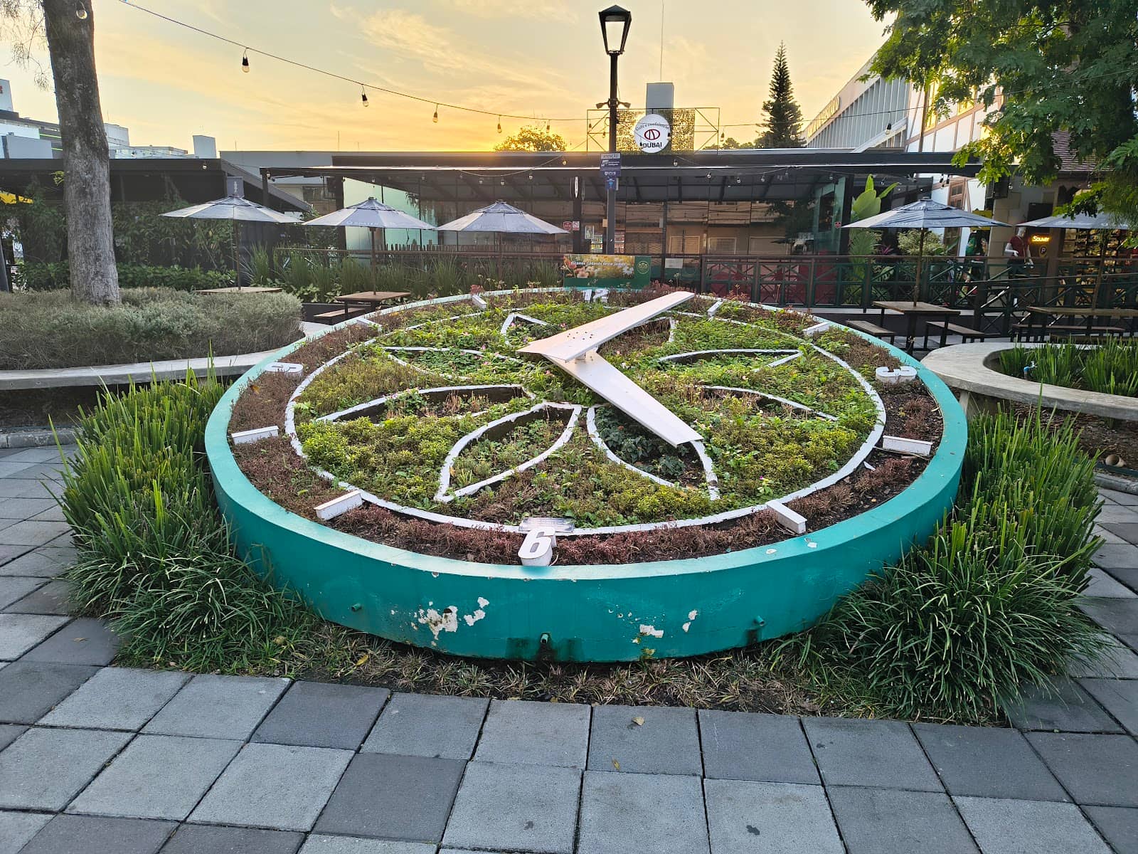 São Paulo Cathedral