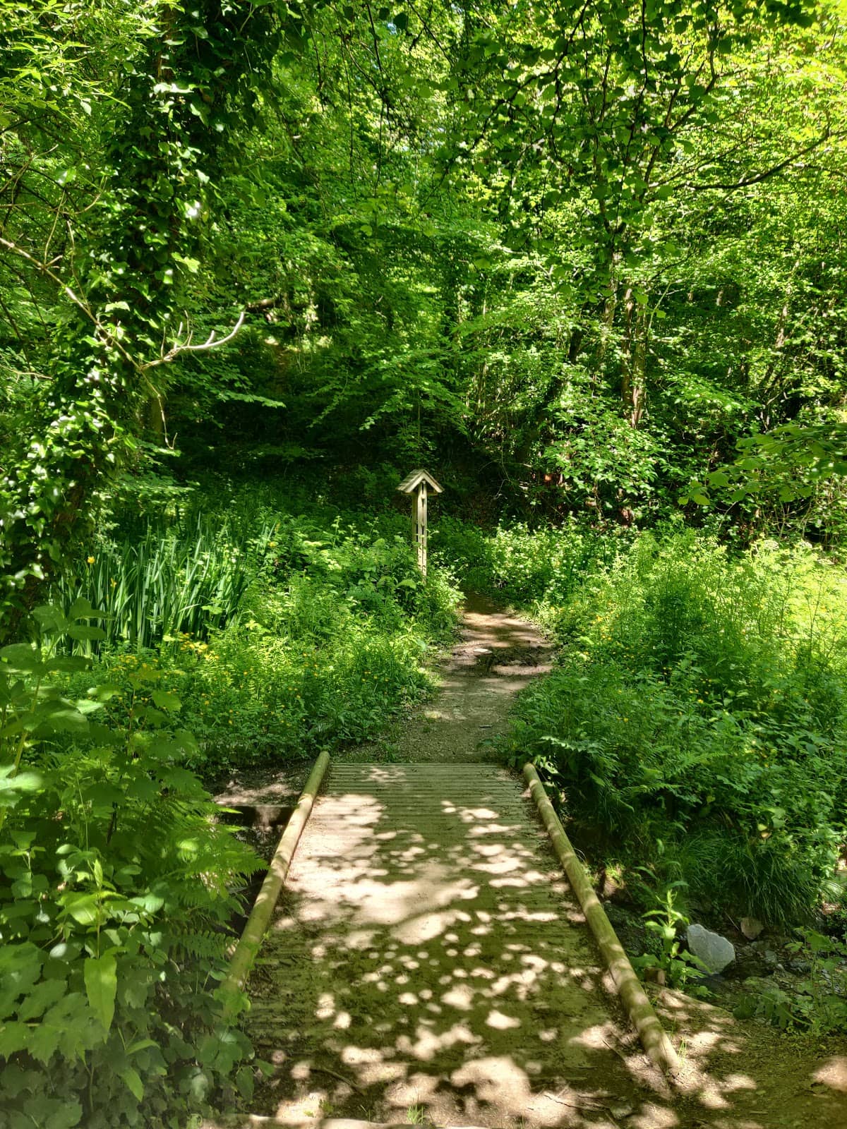 Mountain Biking Routes