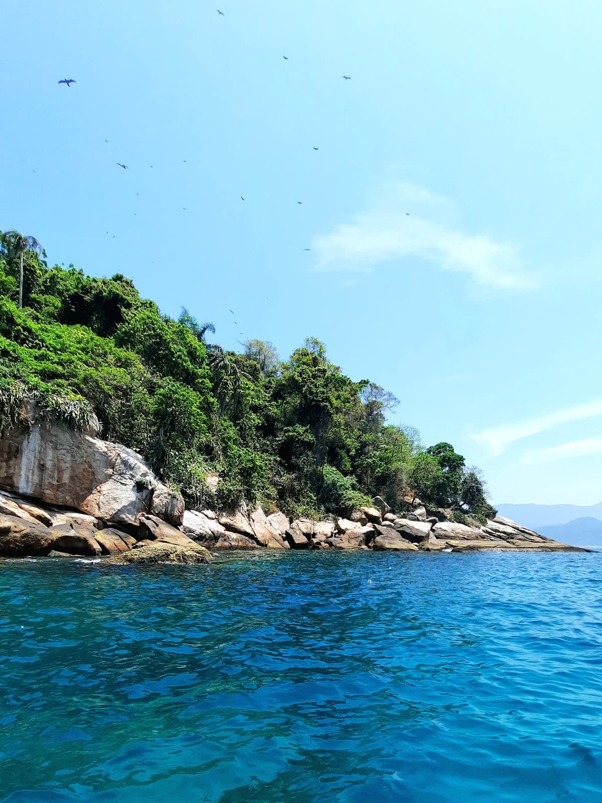 Ilha Jorge Grego Dive Site - Image 1