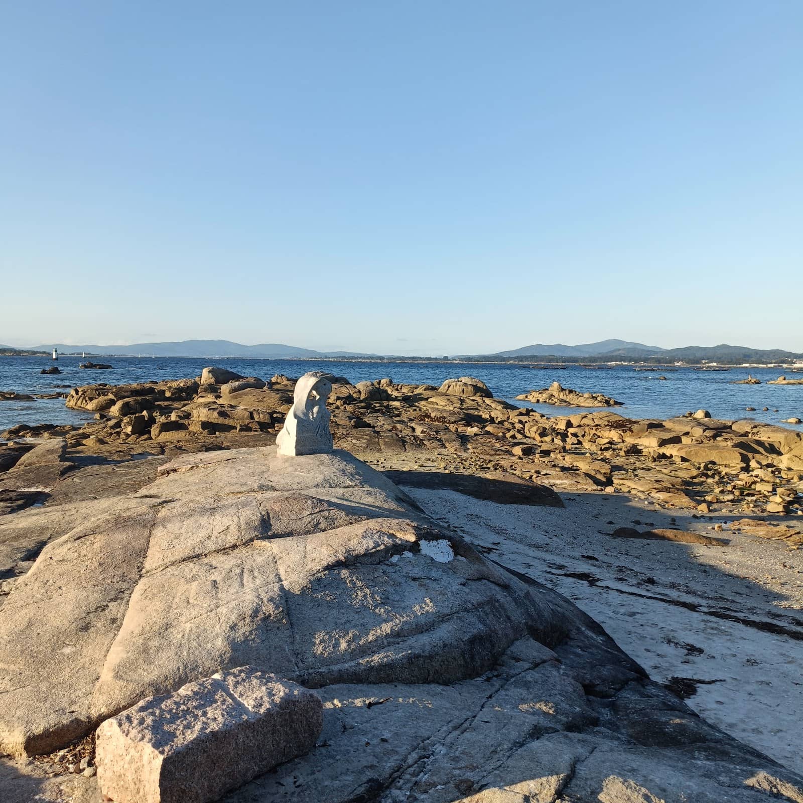 Peaceful Forest Walk