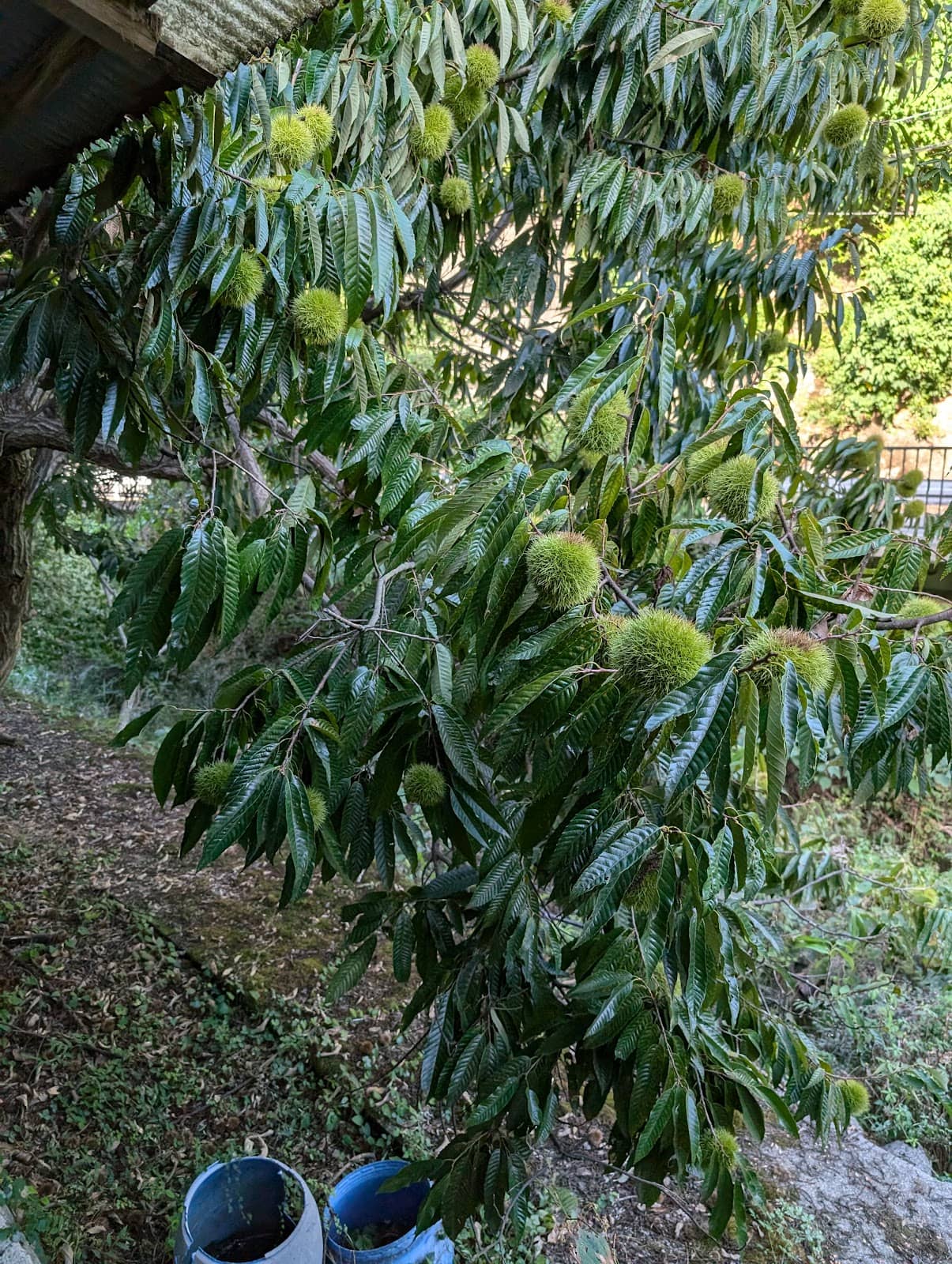 Factory Tours & Artist Insights