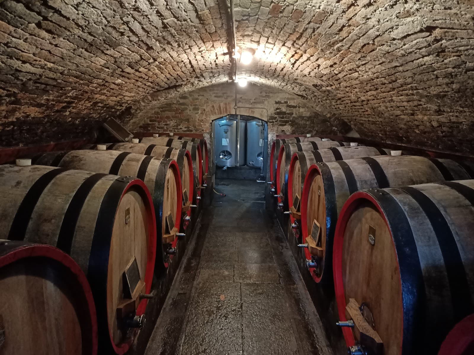 Cantina del Glicine - Image 1
