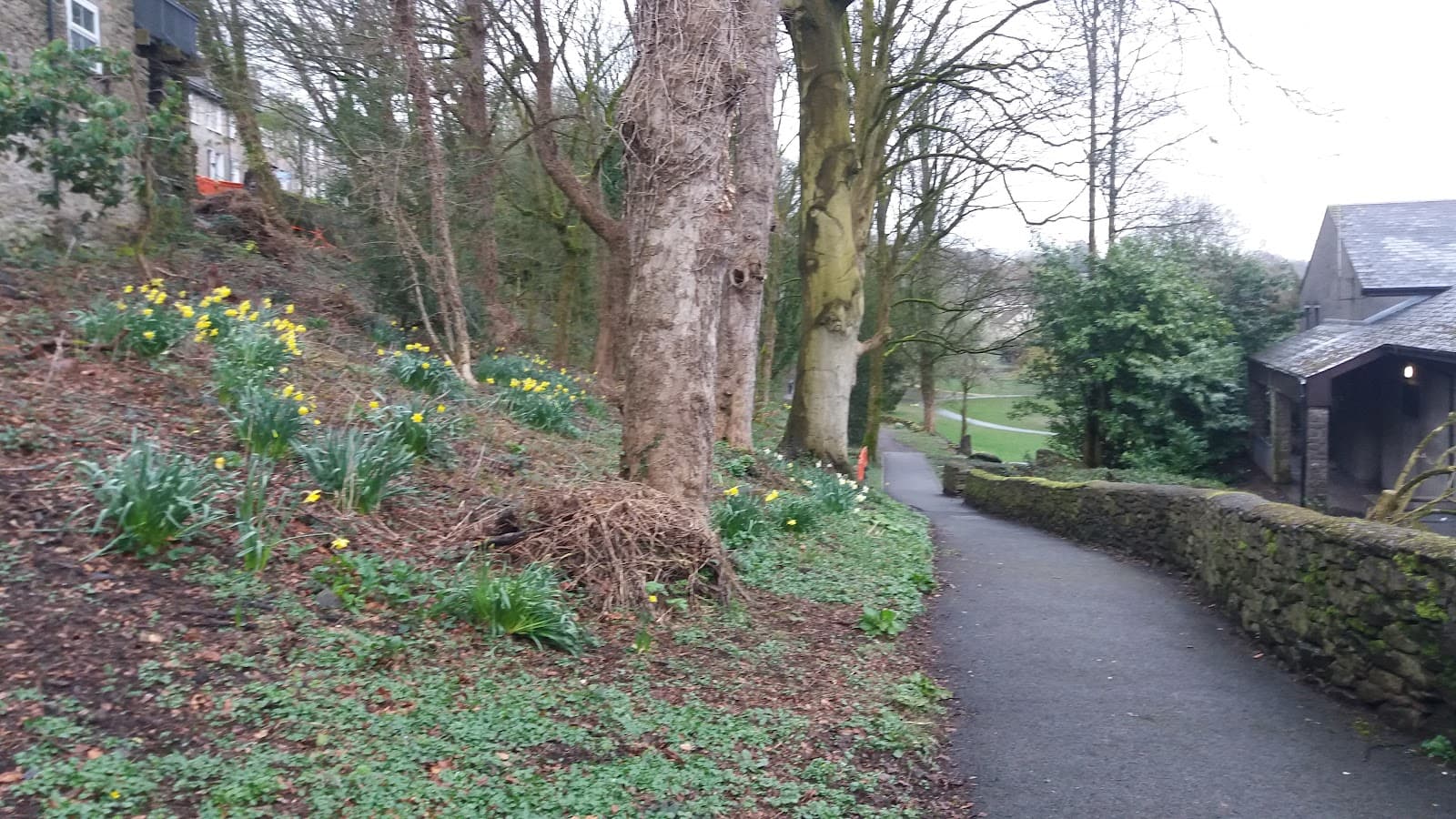 Nobles Rest and Maudes Meadow - Image 1