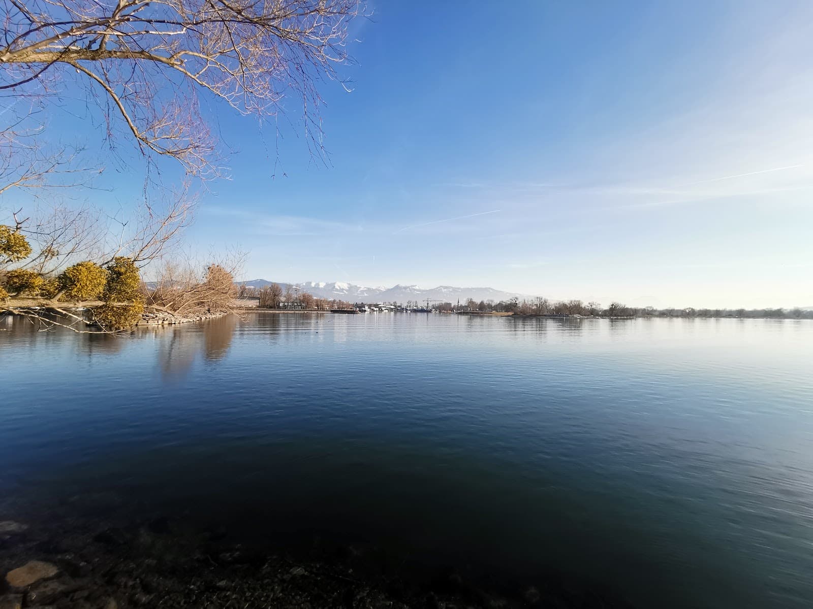 Bregenzer Ach Estuary Reserve - Image 1