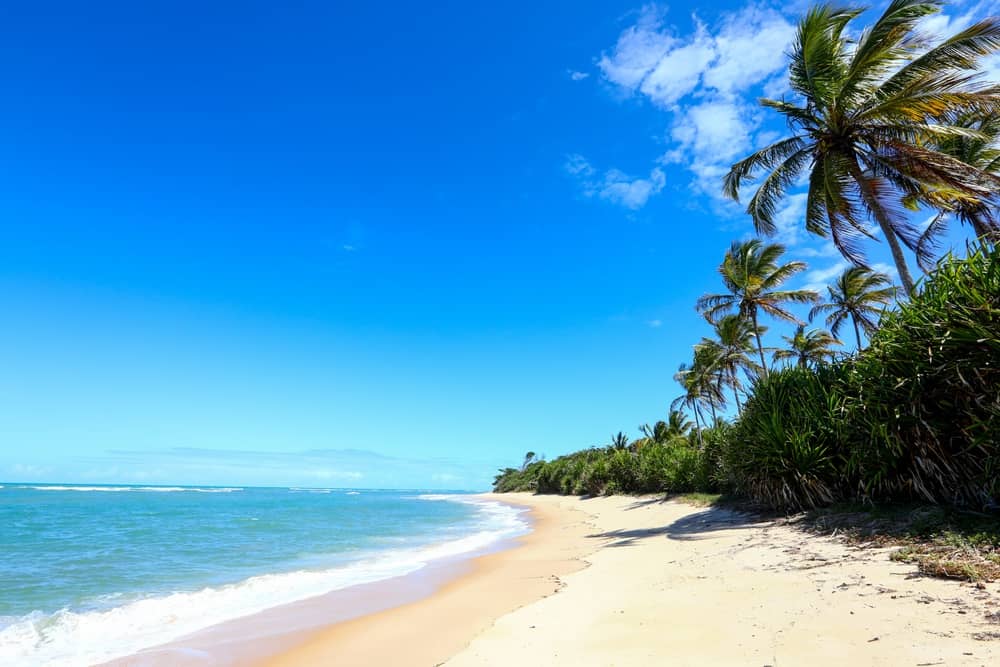 Breathtaking Sunsets