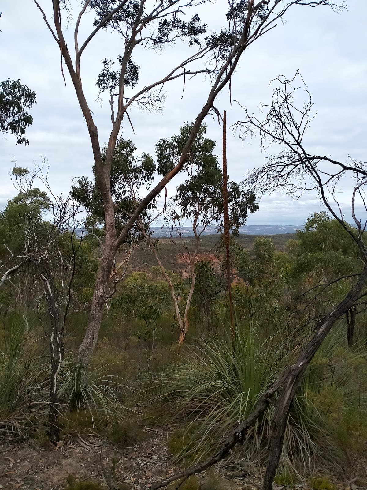 Onkaparinga Gorge - Image 1