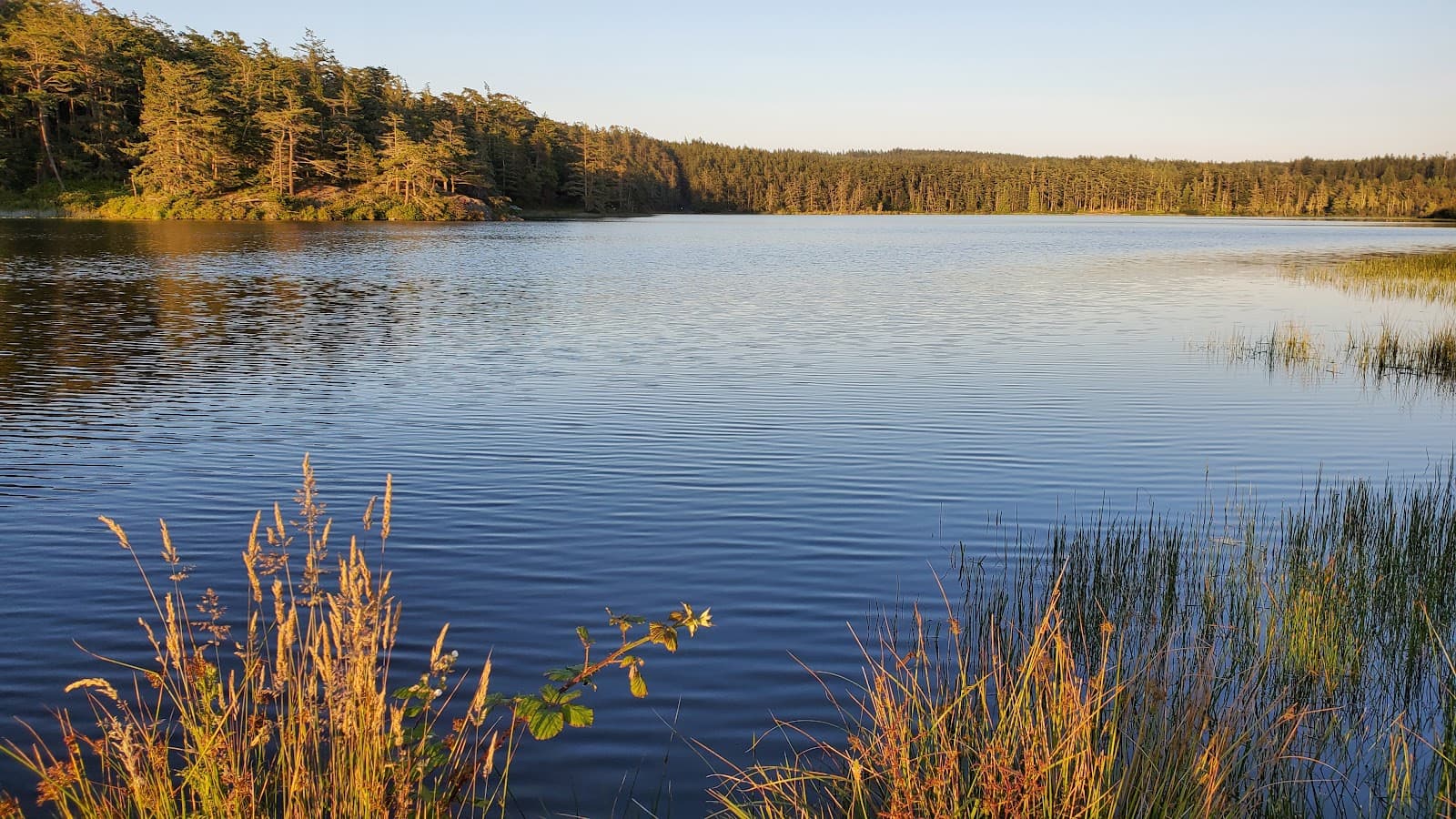 Cranberry Lake - Image 1