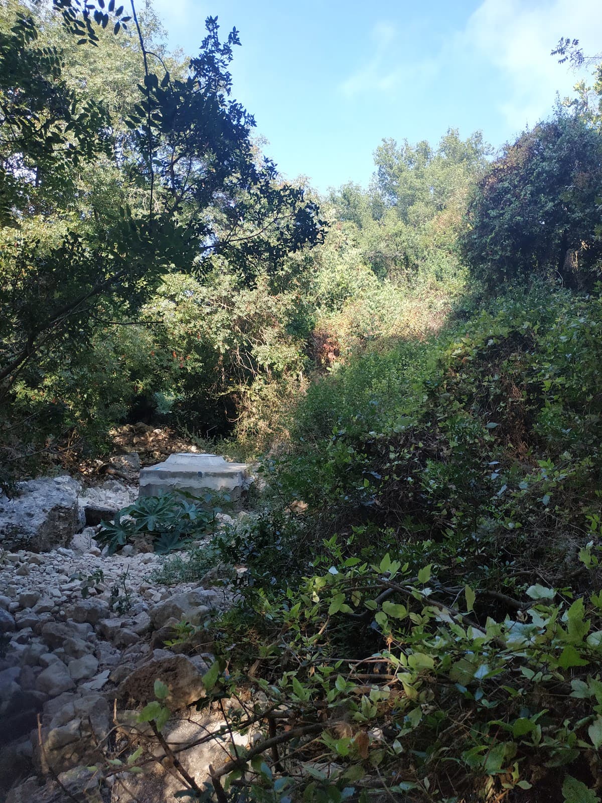 Nahal Lotem - Image 1