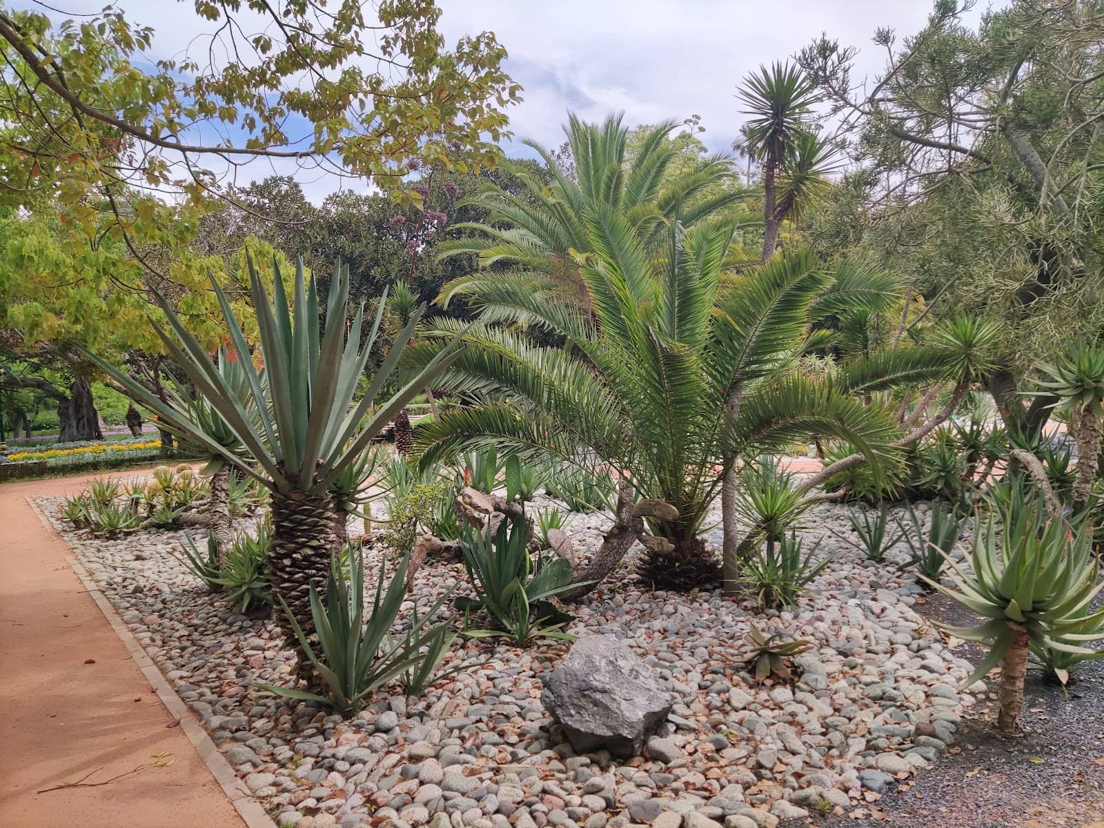 Diverse Plant Collections