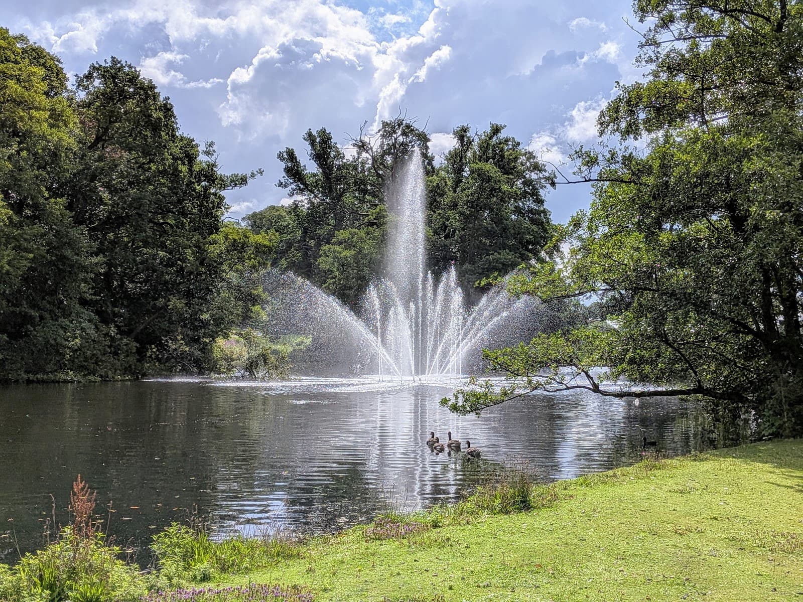 Park Sonsbeek - Image 1