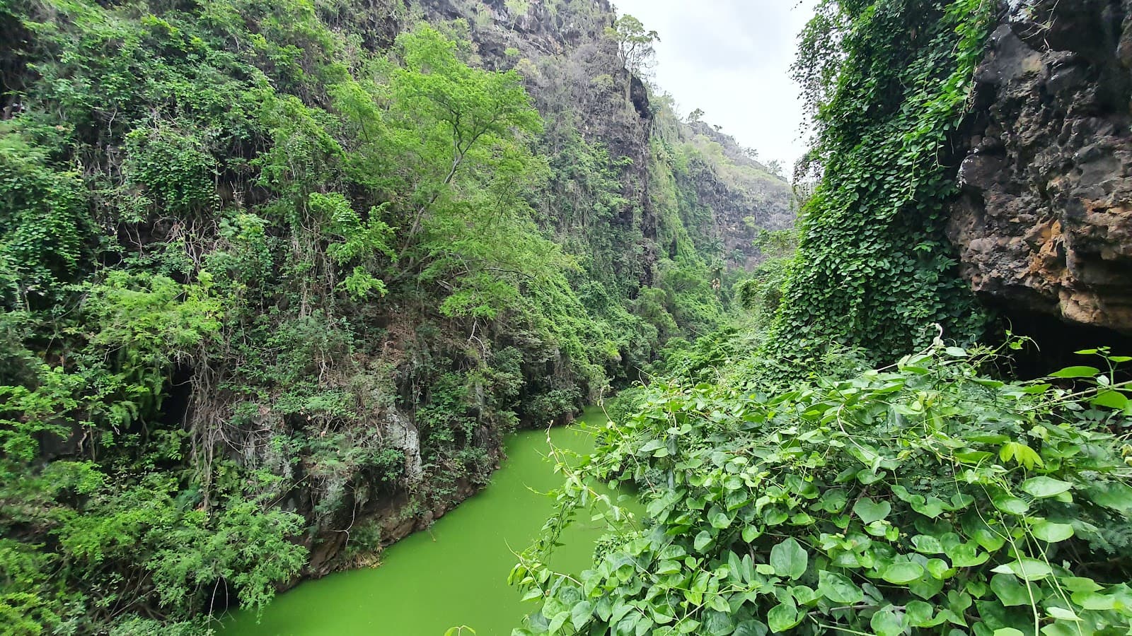 Ravine Bernica - Image 1