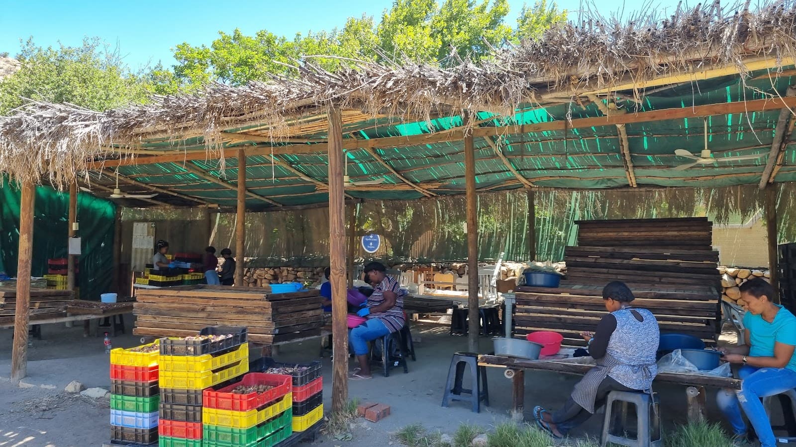 Weltevrede Fig Farm - Image 1