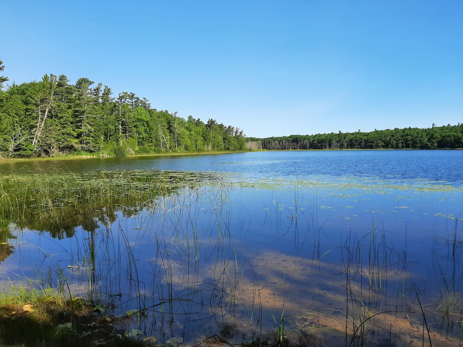 Kehl Lake Natural Area - Image 1