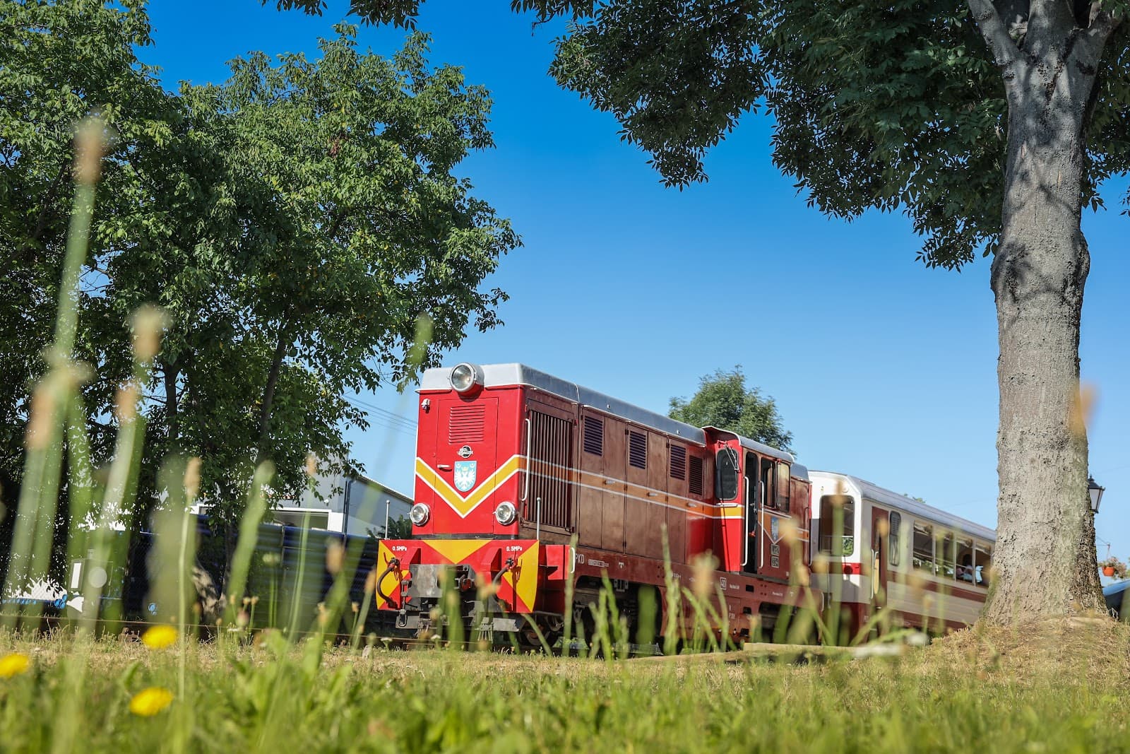 Przeworsk Narrow-Gauge Railway - Image 1
