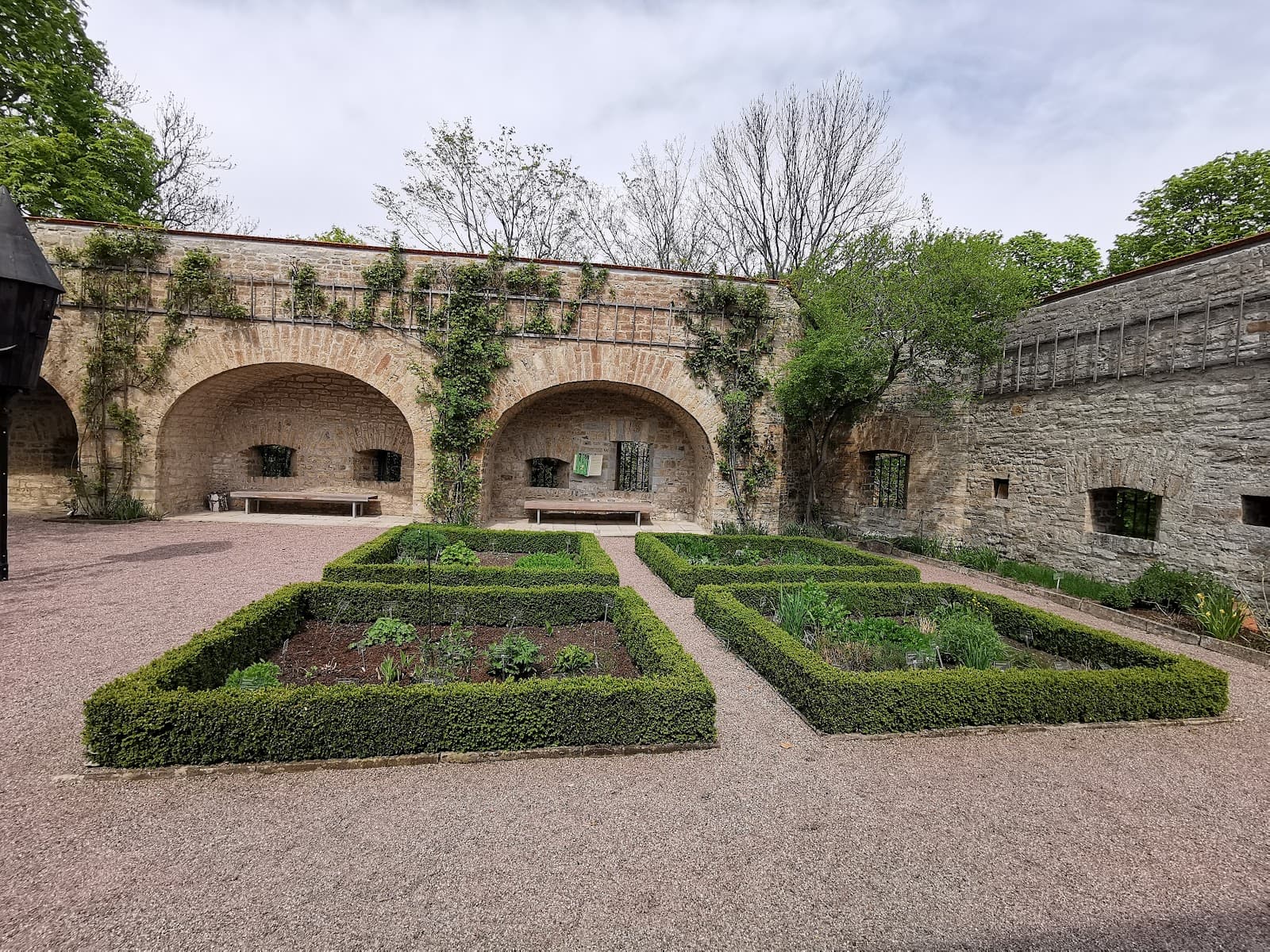 Cyriaksburg and German Horticultural Museum - Image 1