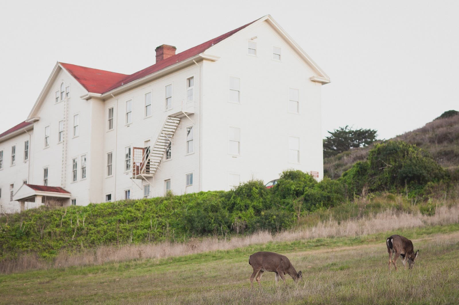 Headlands Center for the Arts - Image 1