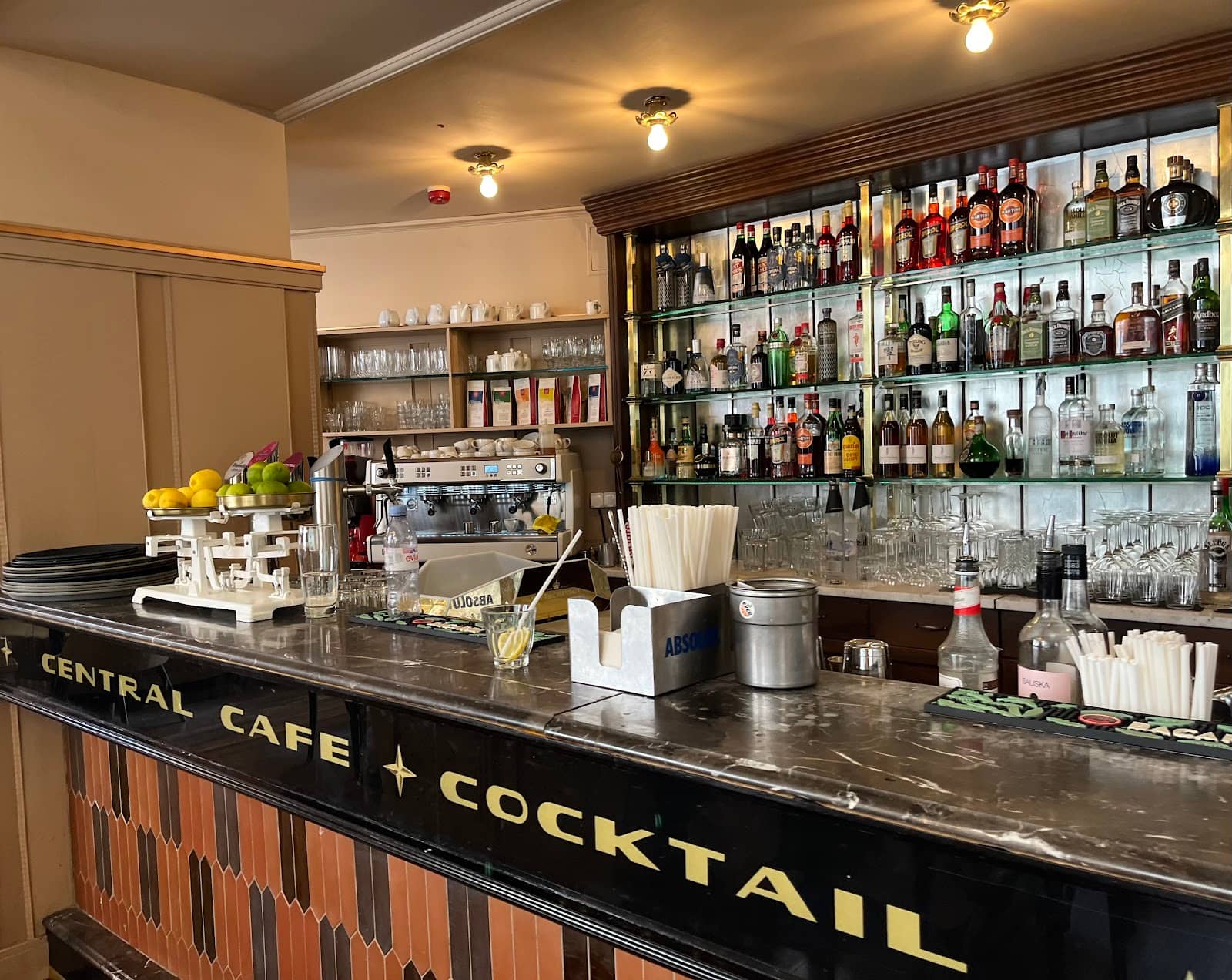 Live Music Performances